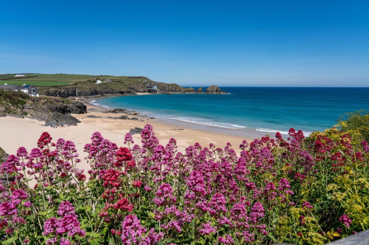 Tor View Bed & Breakfast Padstow Exterior photo